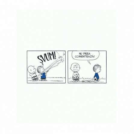 PEANUTS. Ghiduri pentru viata. Viata prin ochii lui Linus