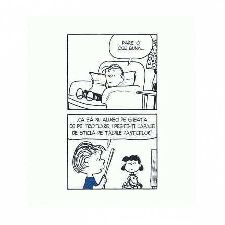 PEANUTS. Ghiduri pentru viata. Viata prin ochii lui Linus
