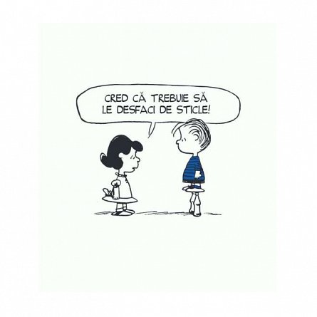 PEANUTS. Ghiduri pentru viata. Viata prin ochii lui Linus