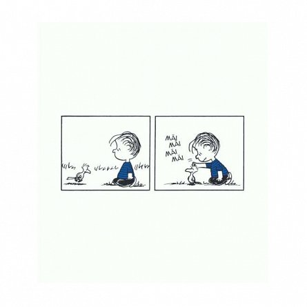 PEANUTS. Ghiduri pentru viata. Viata prin ochii lui Linus