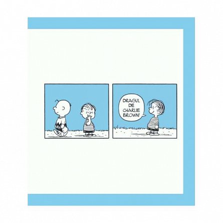 PEANUTS. Ghiduri pentru viata. Ghidul Peanuts pentru prietenie