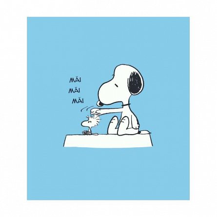 PEANUTS. Ghiduri pentru viata. Ghidul Peanuts pentru prietenie