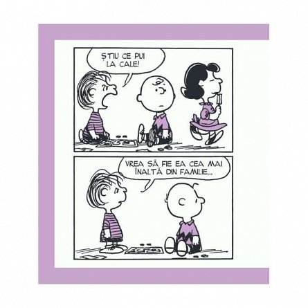 PEANUTS. Ghiduri pentru viata. Ghidul Peanuts pentru frati si surori