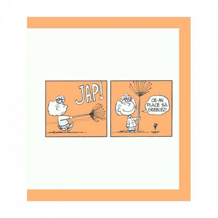 PEANUTS. Ghiduri pentru viata. Ghidul Peanuts pentru fericire