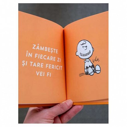 PEANUTS. Ghiduri pentru viata. Ghidul Peanuts pentru fericire