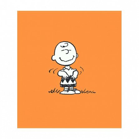 PEANUTS. Ghiduri pentru viata. Ghidul Peanuts pentru fericire