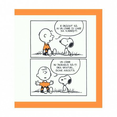 PEANUTS. Ghiduri pentru viata. Ghidul Peanuts pentru fericire