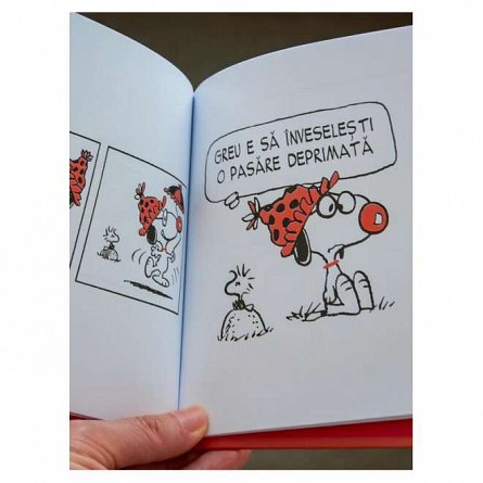 PEANUTS. Ghiduri pentru viata. Filozofia lui Snoopy