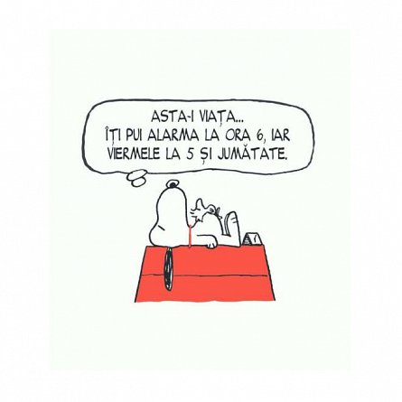 PEANUTS. Ghiduri pentru viata. Filozofia lui Snoopy
