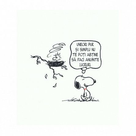 PEANUTS. Ghiduri pentru viata. Filozofia lui Snoopy