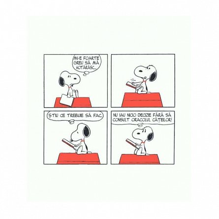 PEANUTS. Ghiduri pentru viata. Filozofia lui Snoopy