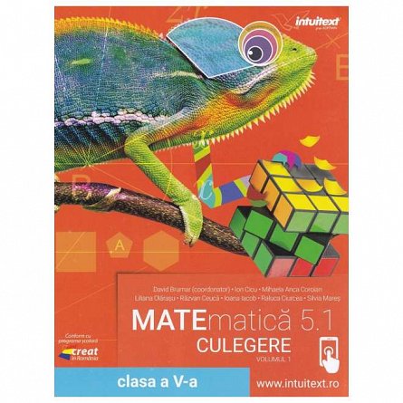 Matematica 5.1. Culegere. Clasa 5. Vol. 1