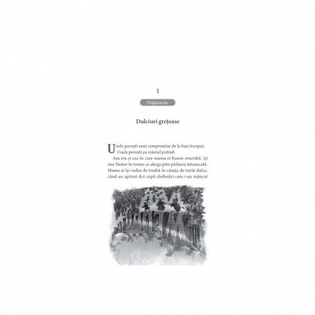 Scoala pentru Bine si Rau, vol. 6. Unicul rege adevarat