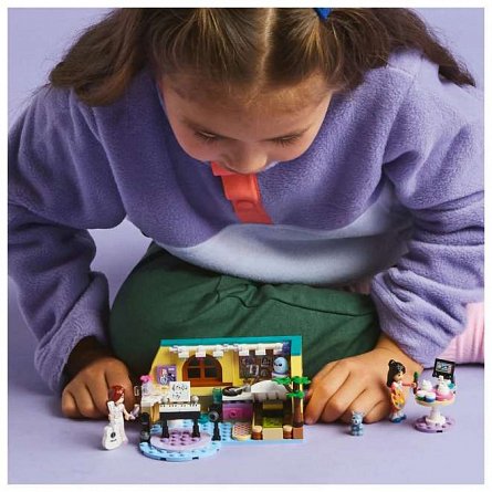 LEGO Friends - Camera lui Paisley 42647