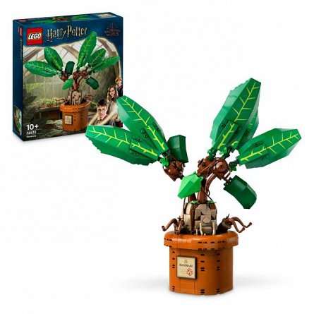 LEGO Harry Potter - Matraguna 76433