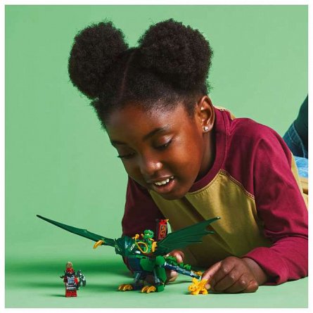 LEGO Ninjago - Dragonul de Padure al lui Lloyd 71829