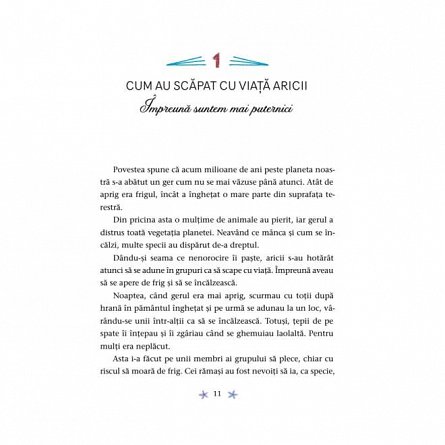 Povesti pentru copii curajosi
