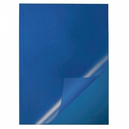 Plic pentru sina prindere, Durable, albastru