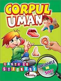 CORPUL UMAN - ORGANELE DE SIMT