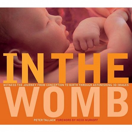 In The Womb, Peter Tallack