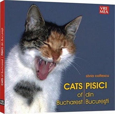 Pisici din Bucuresti - Silvia Colfescu