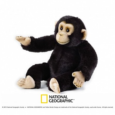Plus NG,Cimpanzeu 36 cm (buc)