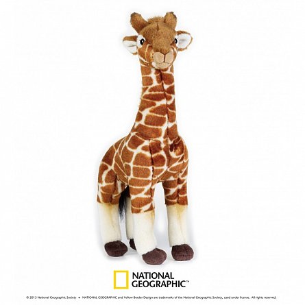 Plus NG,Girafa,35cm