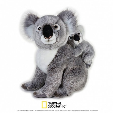 Plus NG,Koala cu pui,37cm