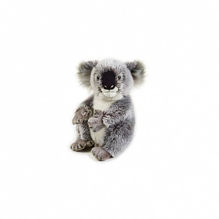 Plus NG,Koala,26cm