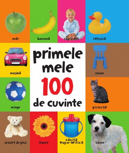 PRIMELE MELE 100 DE CUVINTE