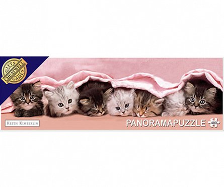 Puzzle panoramic Paturica pisicilor
