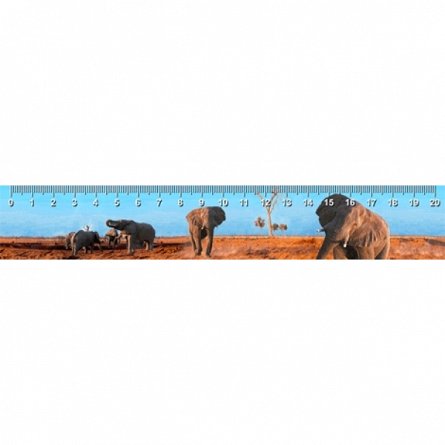 Rigla 3D, Elefanti in Botswana