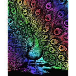 Set creativ gravura Paun - curcubeu