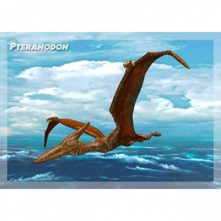 Vedere 3D, Pteranodon